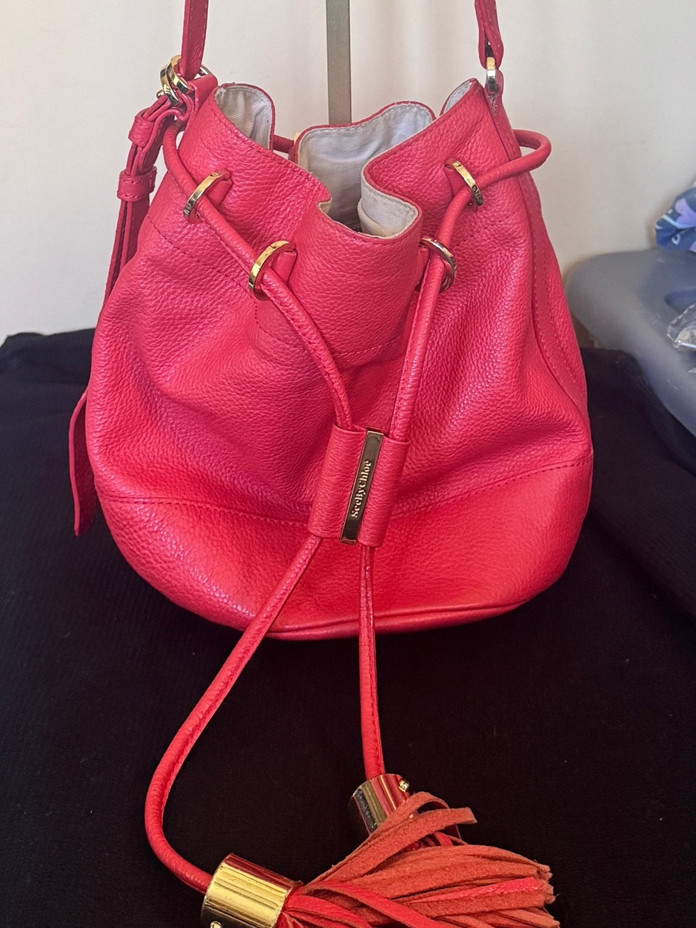 See by Chloé Vicky Small Bucket Bag - Coral Leather - Rare!